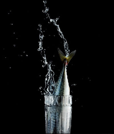 20090525142916422.jpg