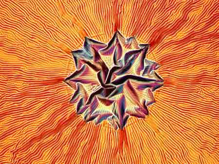 img3.gif