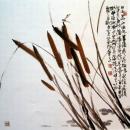 菖蒲