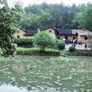 留在图片中的记忆