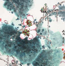 花鸟系列