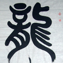 龙