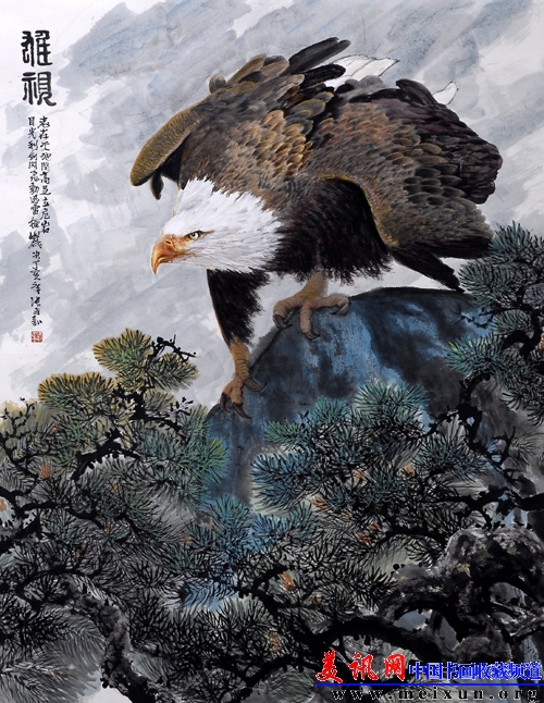 雄视.jpg
