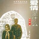 爱情是什么