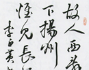 宋凤翔作品（共54幅）