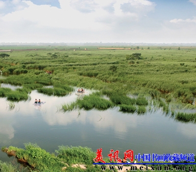 广府古城3（千亩芦荡）　　王文卉摄.JPG