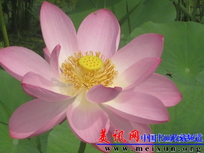 20100718114234809.jpg