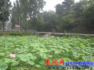20100718114645891.jpg