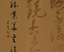 孙业华书画集