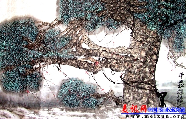 华山松.jpg