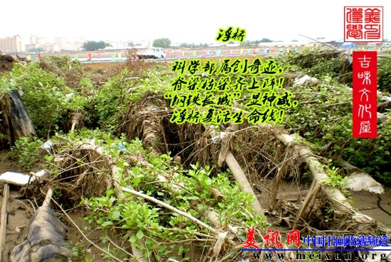 QQ截图未命名6.jpg