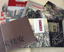 宋桂安个人作品专集