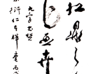 蔡衍作品（共46幅）