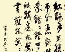王槐群作品（共49幅）