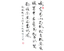 赵善坤作品（共41幅）