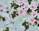 王跃进作品（共32幅）