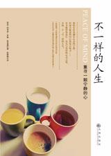 无与伦比的心灵之旅：不一样的人生.jpg