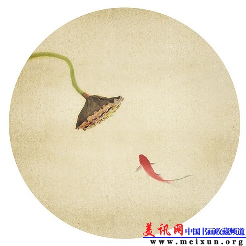 美讯网荷花.jpg
