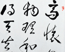 童?？髌罚ü?7幅）