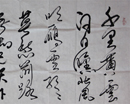 董洪奇作品（共21幅）