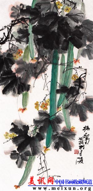 丝瓜.jpg