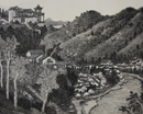 崔晓东作品（共42幅）