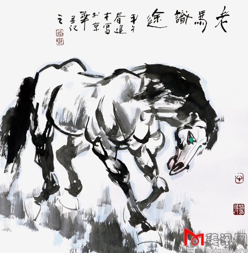 老马识途          68x68cm.jpg