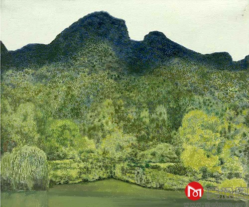 8.50x60 2015.jpg