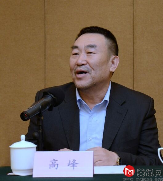 中央电视台副台长、中国纪录片工作委员会会长高峰发言.jpg