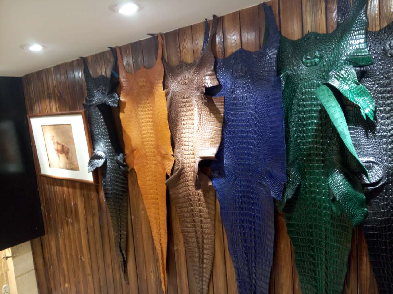 8.pic.jpg